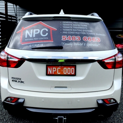 Rear Windscreen Stickers