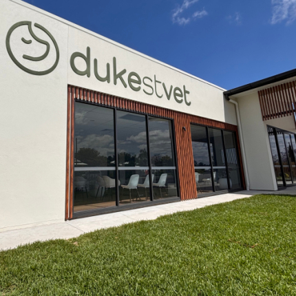 2 Pac Painted Acrylic